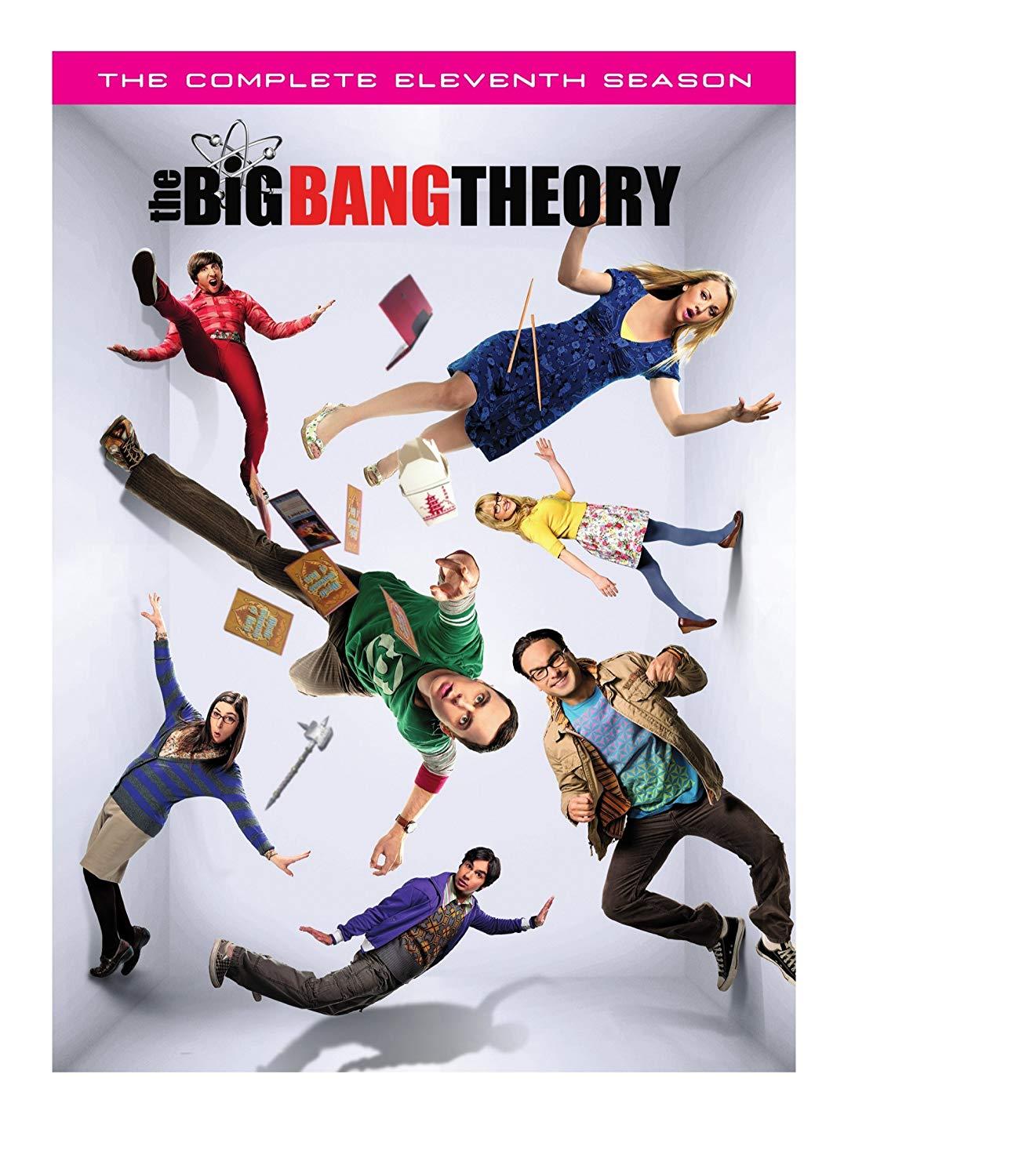 Big Bang Theory Season 11 (DVD)